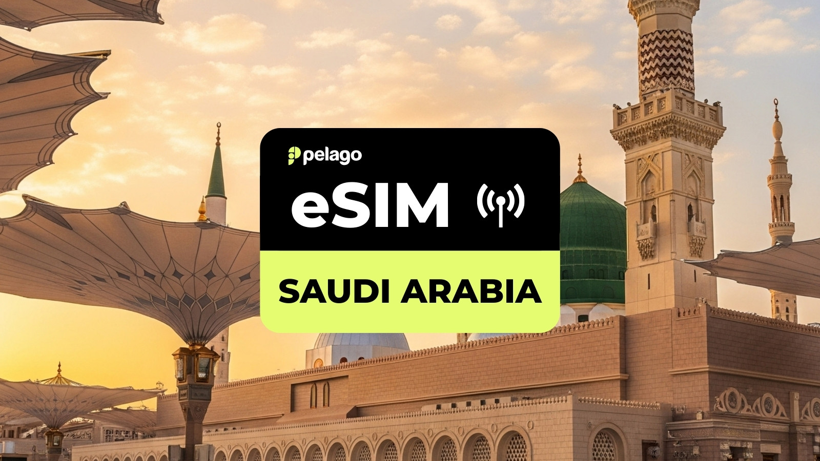 Saudi Arabia eSIM by Pelago - Photo 1 of 1